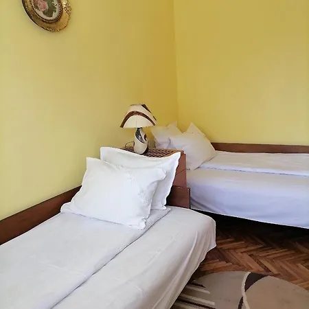 Arsic Vrnjačka Banja