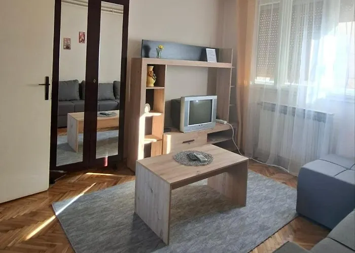 Апартаменты Arsic Врнячка-Баня